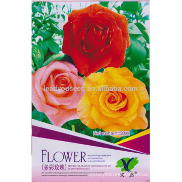 FL01 2018 new rose flower seeds different type of flower seeds for sale